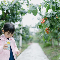 ӣ������