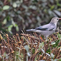 �����ϵ�˿�����