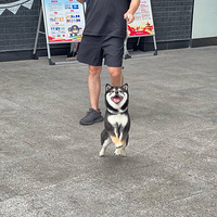 ���������������