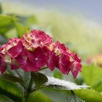 �޾��ġ���Ȥ�Ļ�����