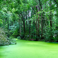 ��ɫ����