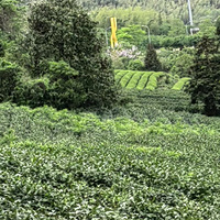 ���˺�ɽ��԰֮��