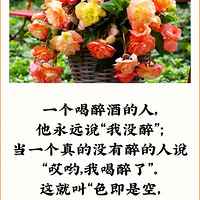 [����][����][����]