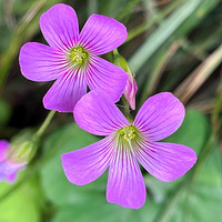 �컨������