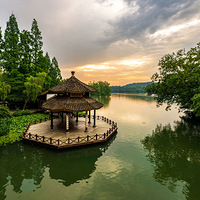 ��ɫ����---é�Ҳ����糿