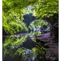 ��Ӱ����