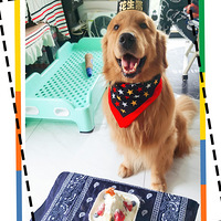 ������С����4������[����][����][����]