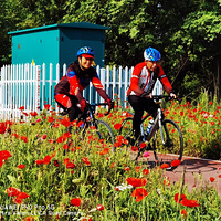 �������µ�֮���̵�