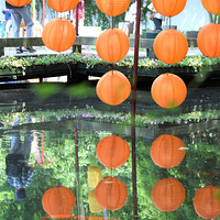 �������ҹ�ׯ���ϣ�