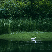 ����é�Ҳ���Ī�λ�԰��˯��