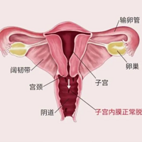 ʵ��������������������ʹ����ֻ˵����һ��