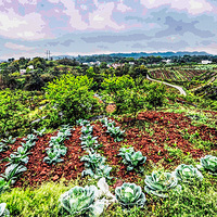 ����֮��ɫ288- ����֮��1