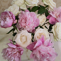 �����ݲ������