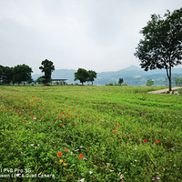 ���µ����ļ���