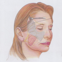 ��Ƥ�������������ϴ�ʹ����Ƥ�ָ����Ƕ�����~