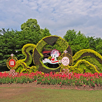 ��ɽ��������