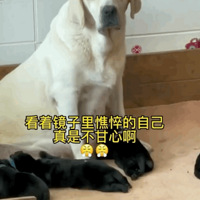 �������꺢��ֱ���Ագ�����һ��Ц��...���Ǳ��������˰ɹ���