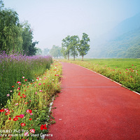 ���µ�����֮�������̵�