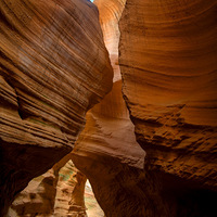 ���������Ͽ��