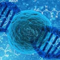 ����7D����������꼪������7D�����꼪�ĸ�����Ч����~