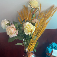 ף����ĸ�׽��տ���