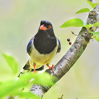 ӣ�����ϵĺ�����ȵ