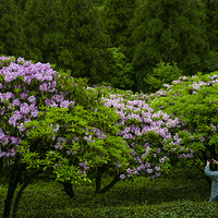 ��̨�����ž�