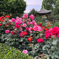 �ط�Ħ�ӵ�ɳ