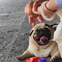 ϲ�������쿴�����е��������ʣ�Ҳϲ�������촩�ȶ������������