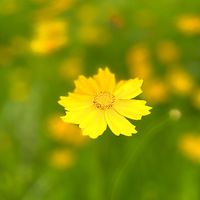 ����.�𼦾�