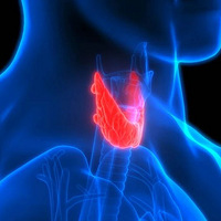 Ů���ѷ�Ҫ���ڷ��ڣ���Щ����������Ӱ�췢��