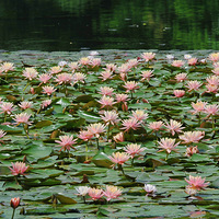 ��˵�еĽ��ϰ�Ī��˯��������