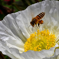 С�۷��������˻�