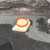 ����è����ǽ��ȥ������ǰ��û�������������ѣ����Ƕ��Ŷ�����