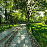 ������ݺ