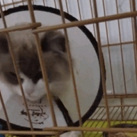 ��żè���������Լ�ȥҽԺ���������鷳�Ⱦ��ң���