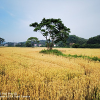 ����֮������������