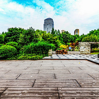 ����֮��ɫ270-�Ƕ���԰��2��