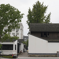 �������ĳ�����ν���ʾ�