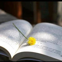 �����������ʢ���Ļ�����̧ͷ��һƬ�ƣ������з�������ȥ