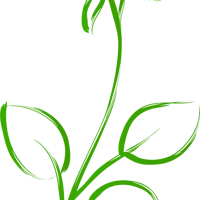 �������� | 520Яֿ�����ˣ�����һ���������⣡