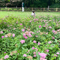 �ۻ����߾�