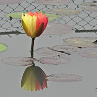 ��Ϫʪ��˯��