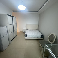 ��ɳ������ۡ�������ԣ������������ͳ��⣬1700/�¿�������