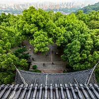 ����������޺ã�����5��20��  2023.05.22