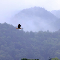 ���5��22����������é�Ҳ���