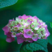 �޾�������