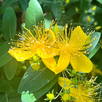 ��˿�ҵ�����