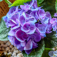 ����� ��Ʒ���ɻ�չ������5��20�� 2023.05.23