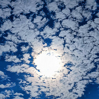 �������Ǳ�����������Ե�����